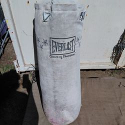 Everlast Punching Bag 100lbs 
