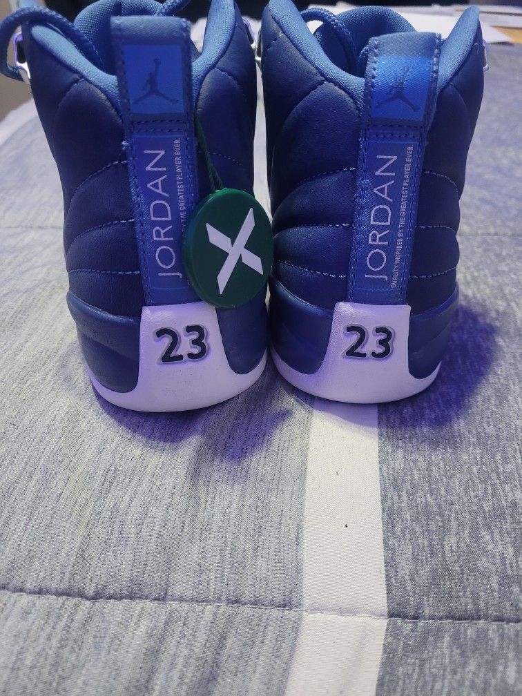 Jordan 12 Indigo Boys Size 5