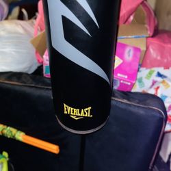 Everlast Cardio Punching Bag
