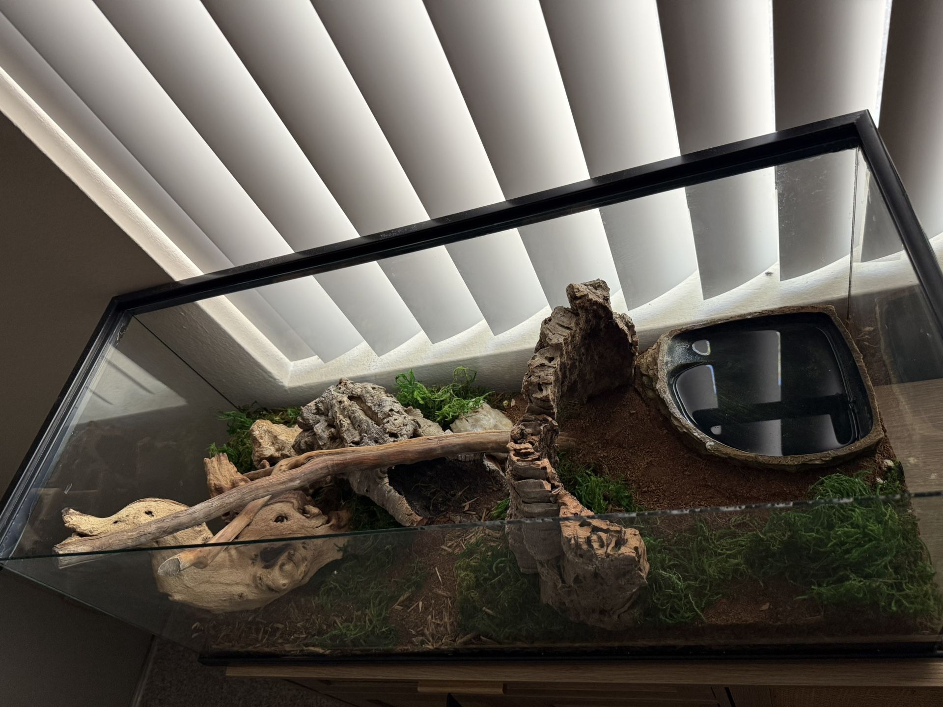 20 Gallon Tank Everything Inside 