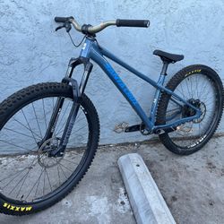 Santa Cruz Chameleon 