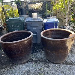 Big Pots