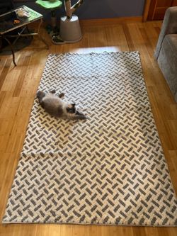 Gray and White Rug - 5x8