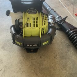 2 Leaf Blowers 