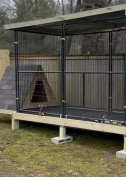 Custom Dog Kennels