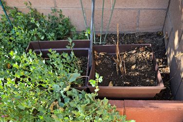 Planters