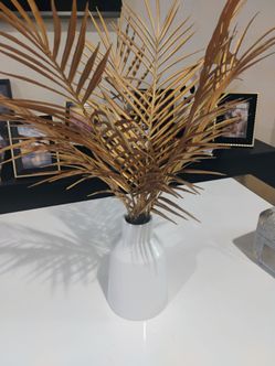 Home decor plant