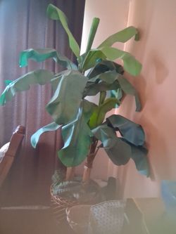 Interior decorative trees