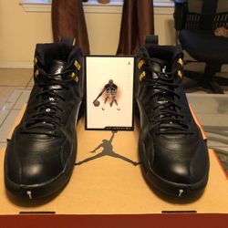 Jordan retro 12 The Master