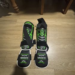 Shi guards For Martial Arts 