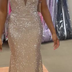 Nude/silver Prom Dress 