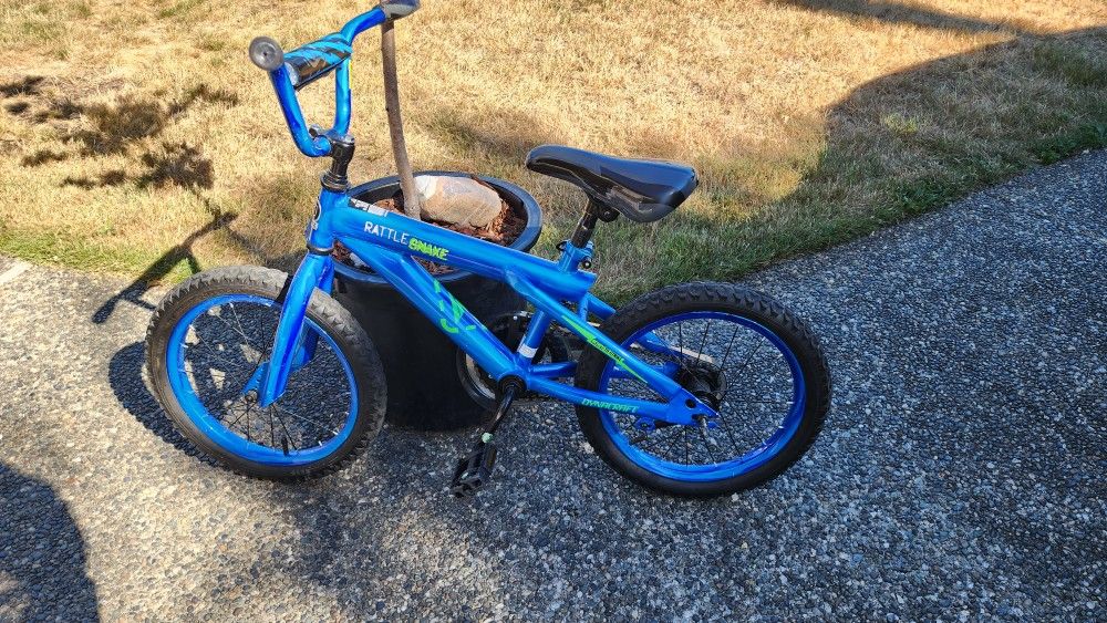 Kids Rattlesnake Bike