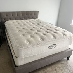 Queen Bed Mattress And Box Spring 