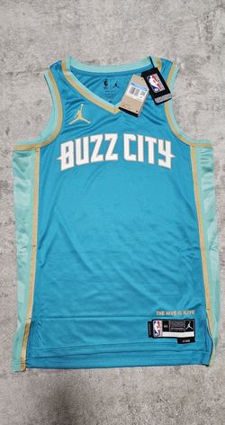 Jordan Charlotte Hornet Buzz City NBA Jersey (Size M 44)