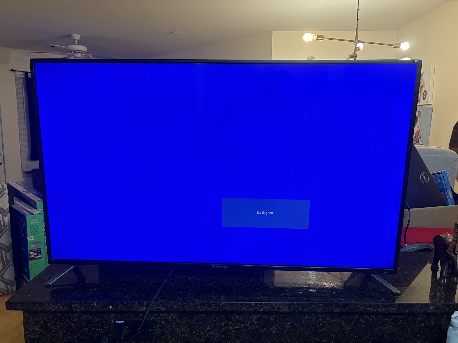 50 In Spectre Tv (it Just Needs A REMOTE