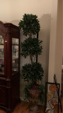 Plant