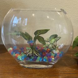 Fish Bowl