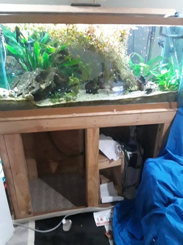 85 gallon fish tank. Complete setup. for Sale in Vancouver