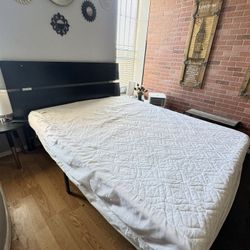 Queen Modern Bed - Metal Frame & Headboard -$100 Firm 