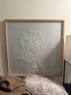 35.5 x 35.5 glass covered art