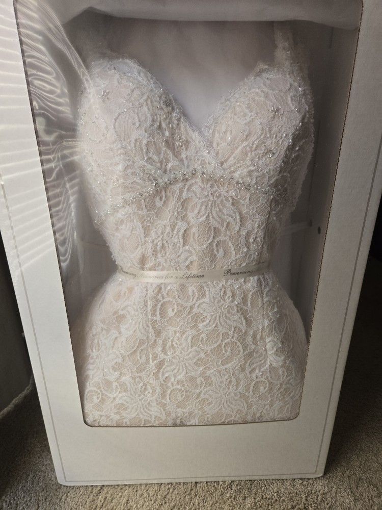 David's Bridal-Lace wedding Dress