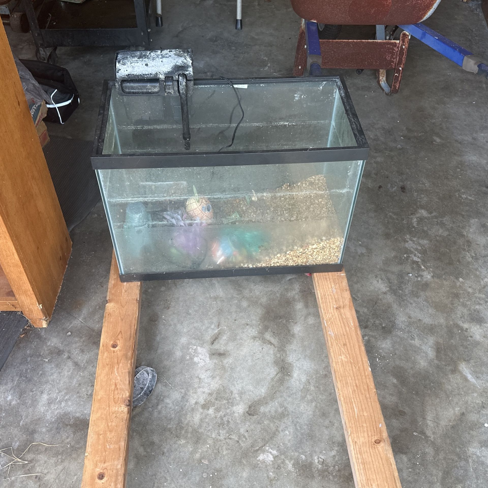 Fish Tank