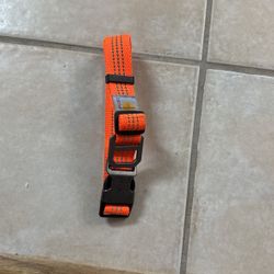 Dog Collar