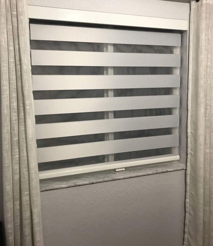Zebra O Roller Shades Screen O Blackout Roman Shades