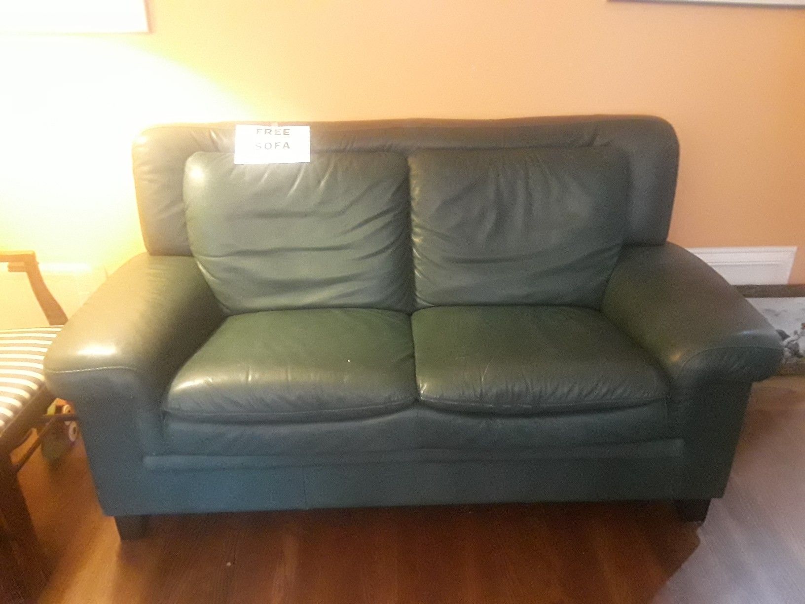 Free leather sofa and chair