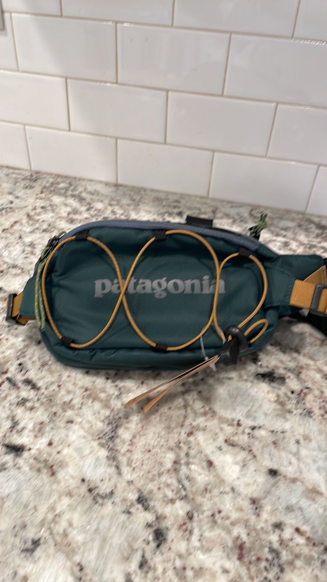 Patagonia Fanny Pack Unisex Bag