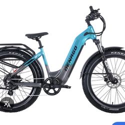 Denago Fat Tire Model 2 eBike