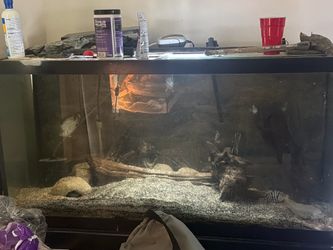 90 gallon aquarium