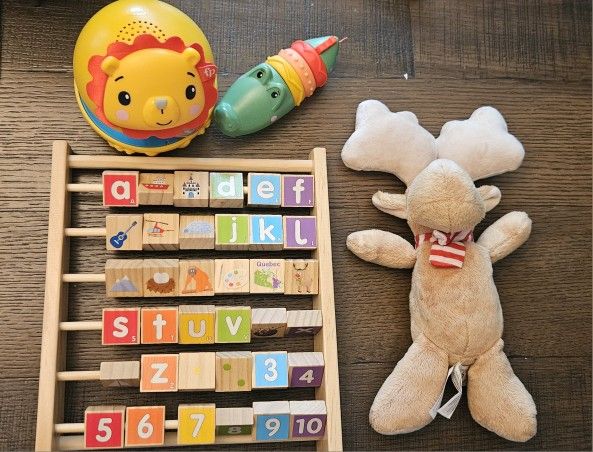 Baby Toddler Toys