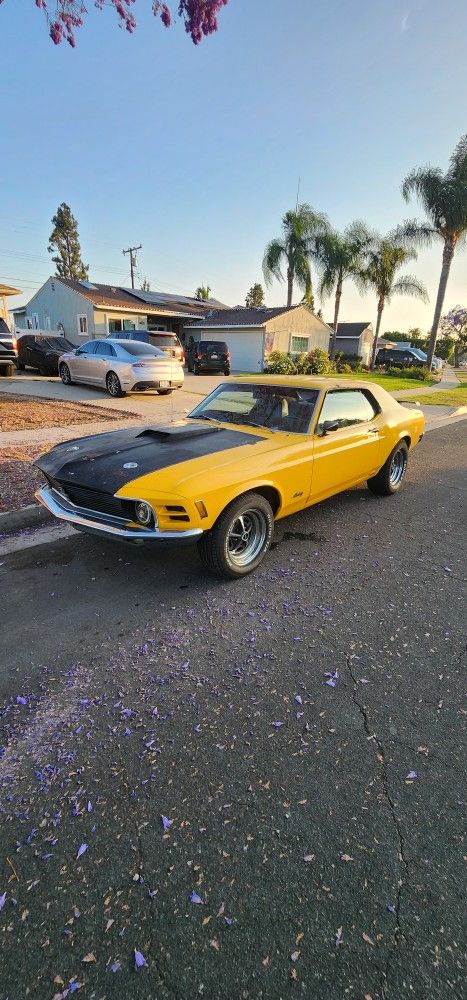 1970 Ford Mustang