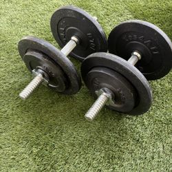 Dumbbells- Adjustable 
