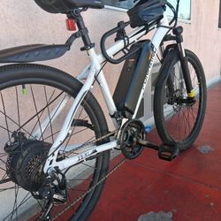 Funhang Electric Bike