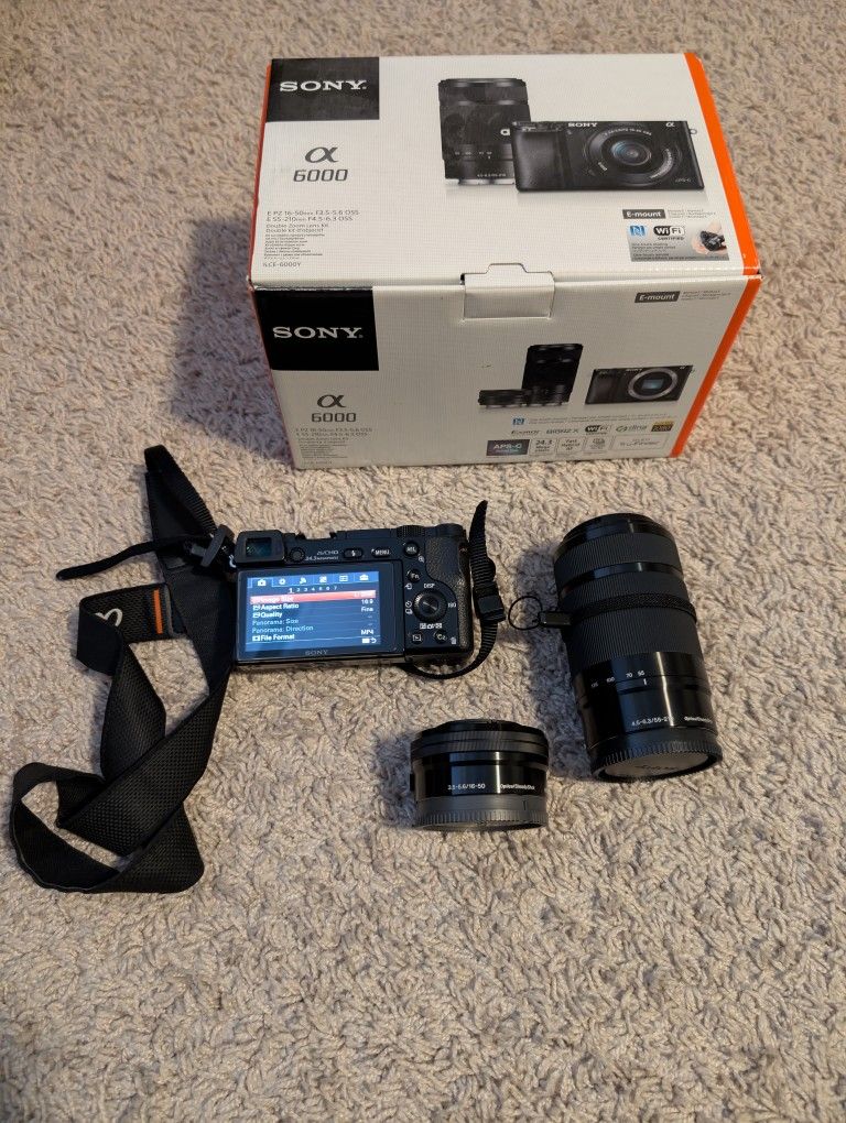 Sony A6000 with Kit lenses (only 29k Shutter Count)