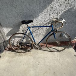 Vintage Schwinn 10 Speed