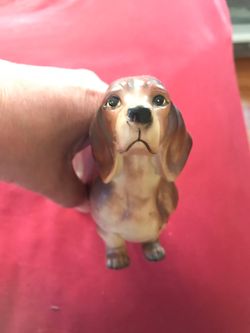 Ucagco dog