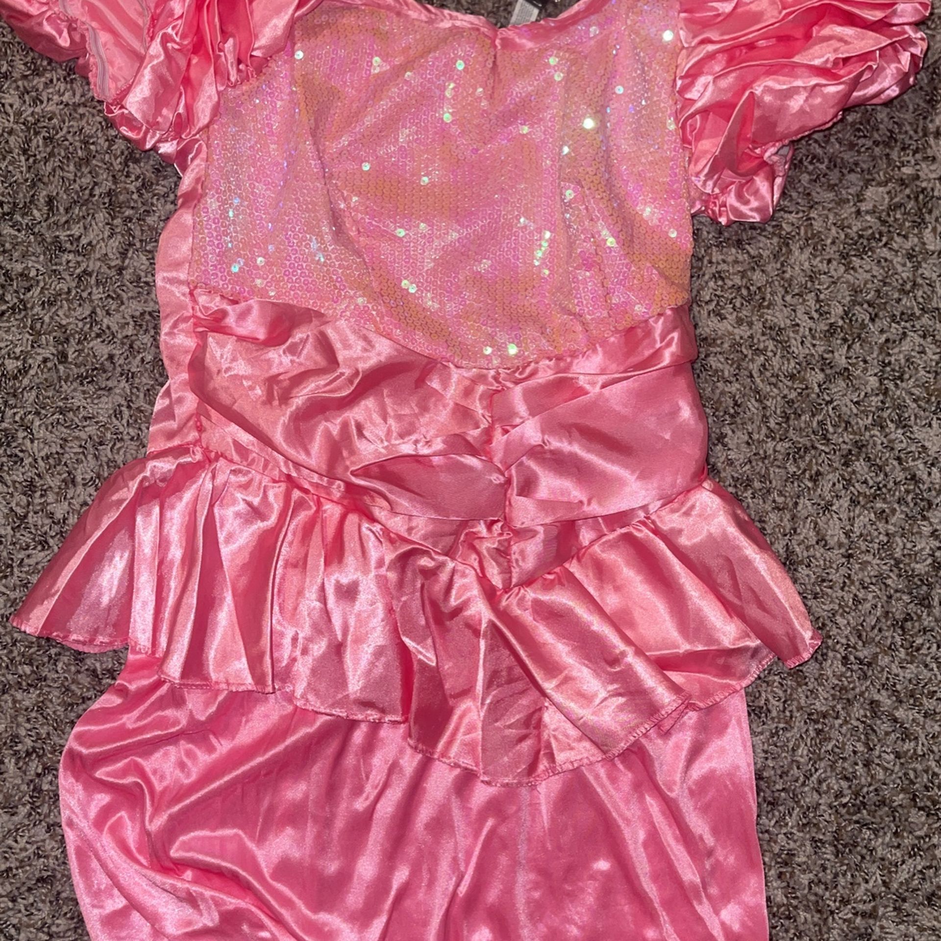 Adult Women Pink Barbie Beauty Pageant Queen Princess Small Dress Costume Halloween