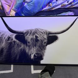 Large Highland Cow Picture From Target 