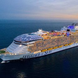 Text Me For Your Next Cruise 
