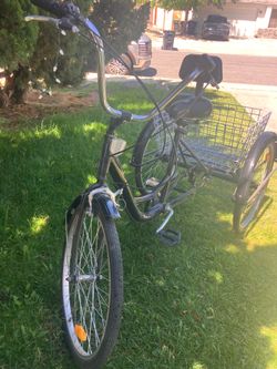Adult tricycle