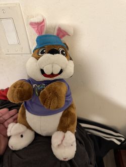 Bucesss Bunny