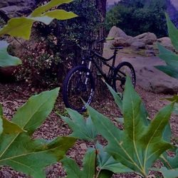 custom mtb build(if you want a video of the bike let me know)