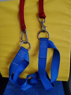 Safety Harness