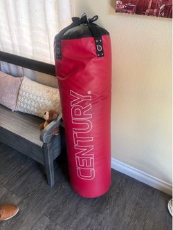 Century punching bag $100