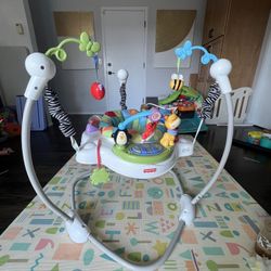 Fisher Price Baby Bouncer