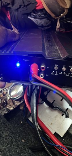 Amp