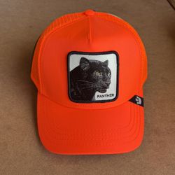Goorin Bros Snapback Hat$ 40 Each 